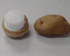 薯仔、蘑菇刷之二